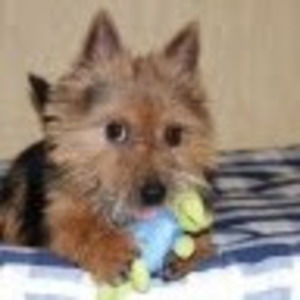 Meet your Posher, Reid